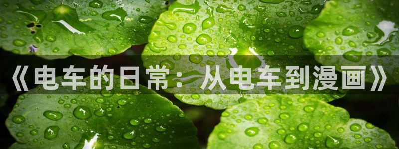 纲手被歪歪漫画漫画免费软件：《电车的日常：从电车到漫画》
