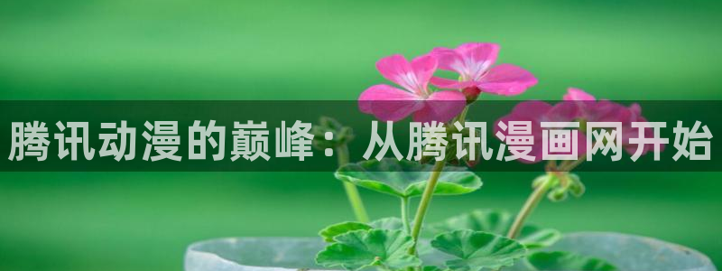 歪歪漫画在线看漫画入口：腾讯动漫的巅峰：从腾讯漫画网开始