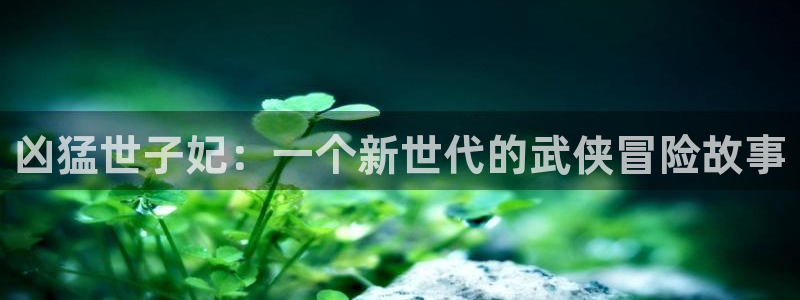 歪歪漫画韩漫免费网站：凶猛世子妃：一个新世代的武侠冒险故事