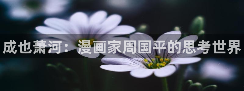 歪歪漫画在线观看免费入口：成也萧河：漫画家周国平的思考世界