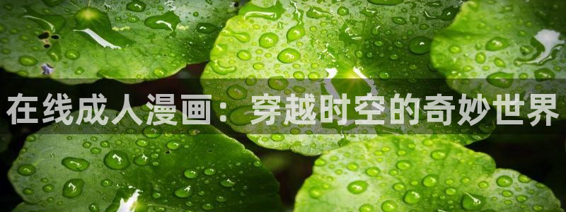 歪歪漫画免费观看欢迎您：在线成人漫画：穿越时空的奇妙世界