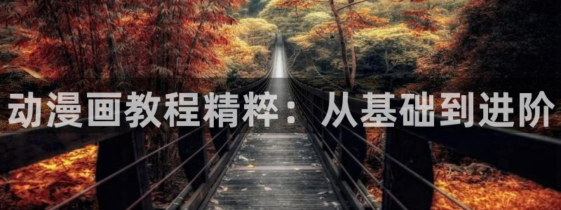 歪歪漫画sss韩漫画在线观看：动漫画教程精粹：从基础到进阶