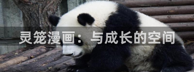 歪歪漫画平台在线