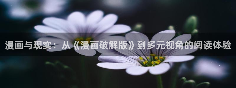 歪歪漫画进入韩国首页