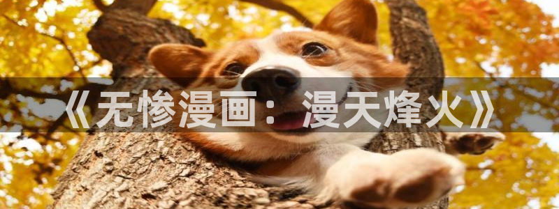 歪歪漫画网官网在线观看