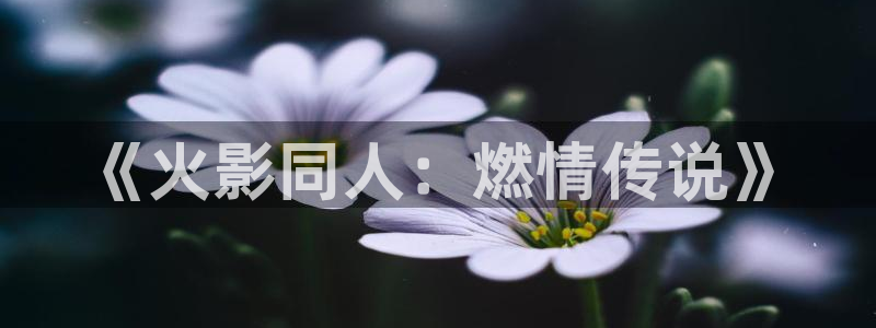 歪歪漫画在线播放在线观看