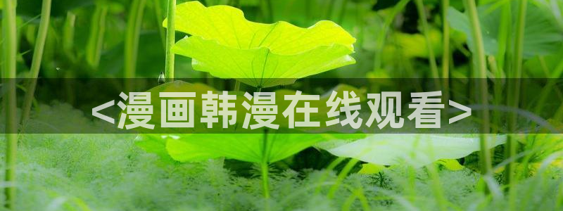 歪歪漫画免费网