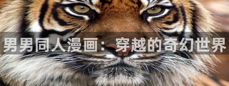 歪歪漫画在线阅读页面免费